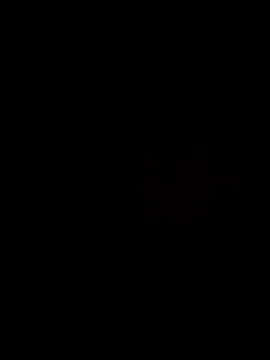 Baumhackel webcam