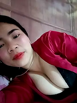 Nul_chal webcam