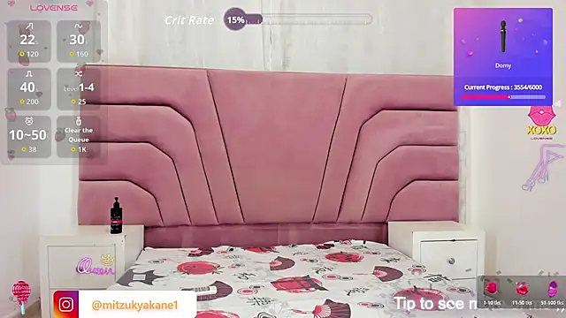 mitzukywinteer webcam