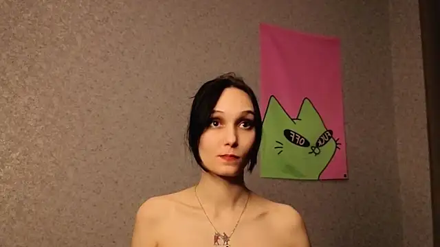 Aurisinst webcam