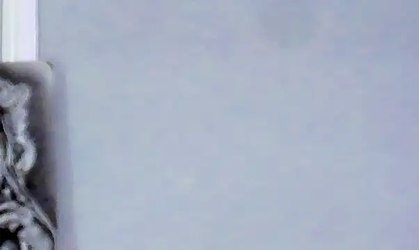 MarguiePonds webcam