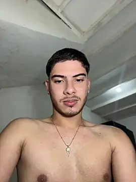 ApoloGray__ webcam