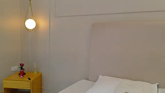 ElectraScot webcam