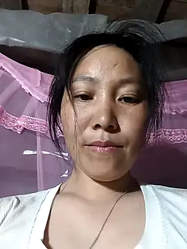 vesla-2k webcam
