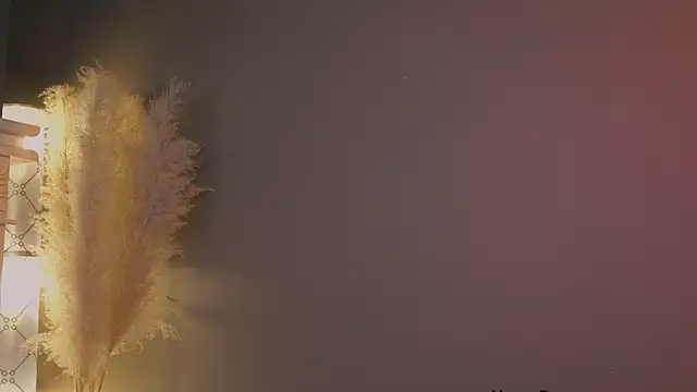 OnlyJett webcam