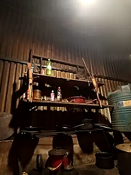Jinli_01 webcam