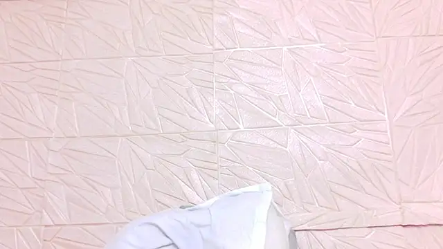nina_bae webcam