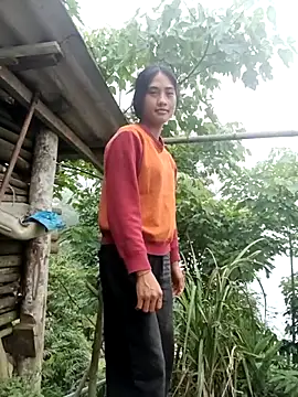 Hoa-tuylip