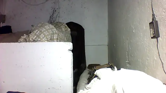 Mich76 webcam