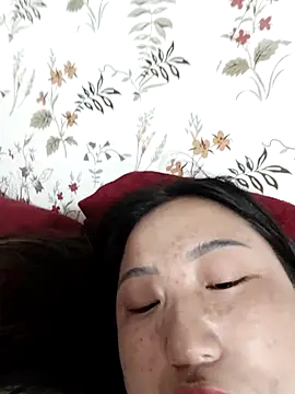 zhen-zo webcam