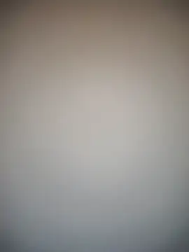 TheDime webcam