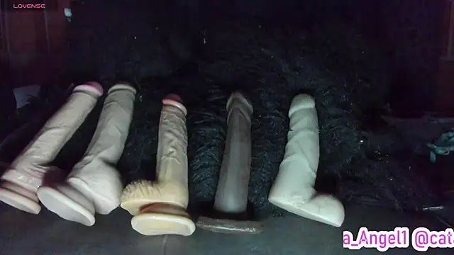 Cata-angel webcam