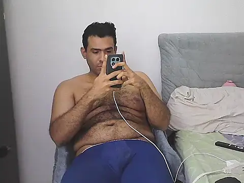 IronSideBear webcam