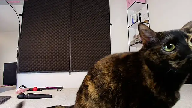 karlamoon23 webcam