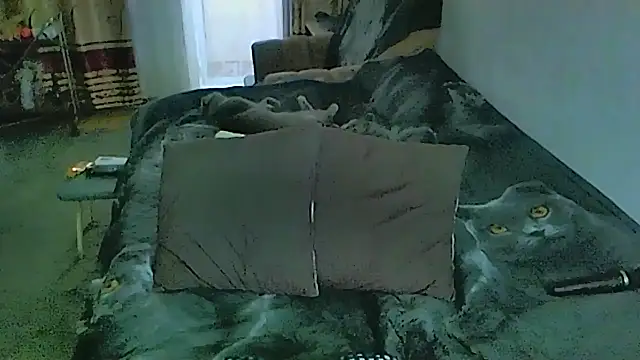 sex2 webcam