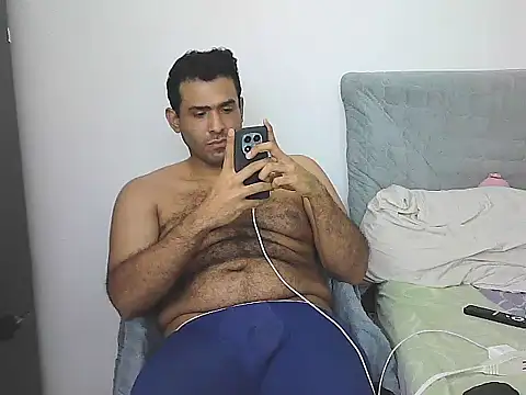IronSideBear webcam