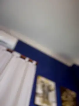 NovaFoxx