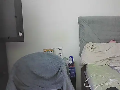 IronSideBear webcam