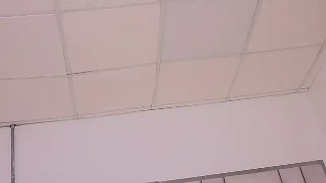CHARLIE_WALKERR webcam