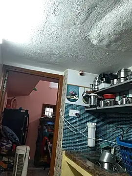 revathisree webcam