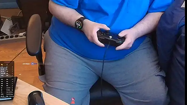 lefty15242 webcam