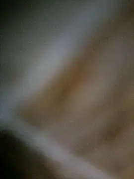 BlackDog__69 webcam