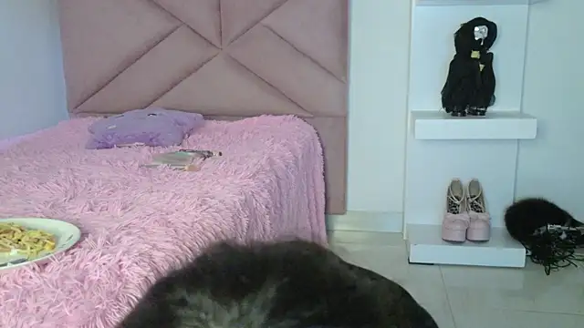 eva_sin18 webcam