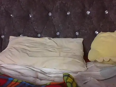 Rudoo2 webcam