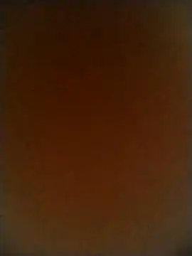 _Madison_queen_ webcam