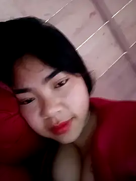 Nul_chal webcam