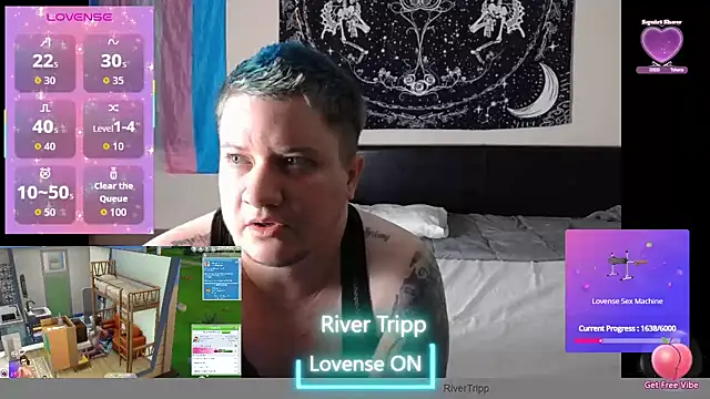 RiverTripp webcam