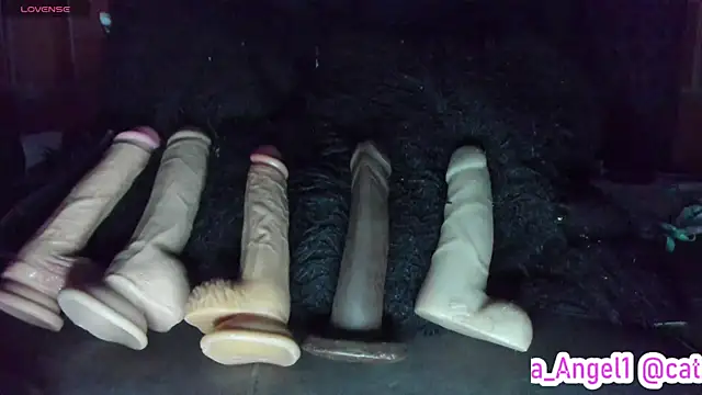 Cata-angel webcam