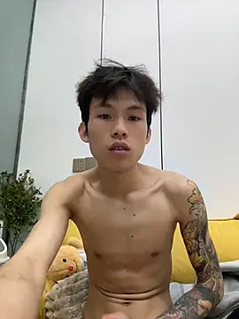 zzzzppp3 webcam
