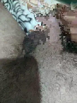 FantasticWonders9 webcam