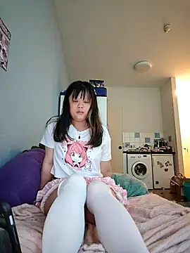 mea-macdonald webcam