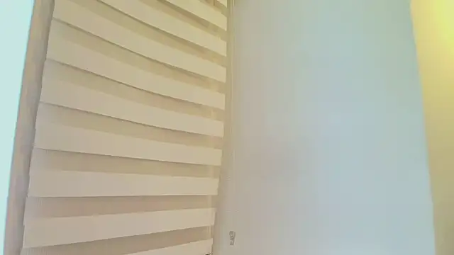 lian_cameron webcam