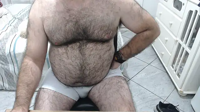 MysterBearMG webcam
