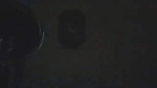 Preview of hailzeffn