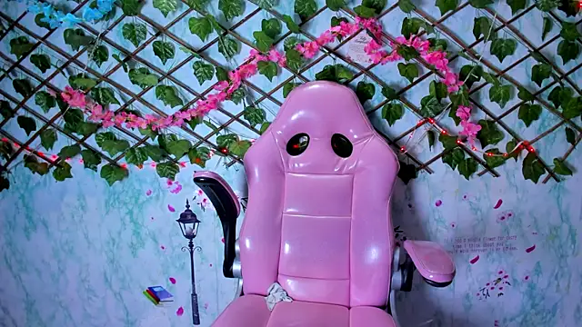 Pamesmith webcam
