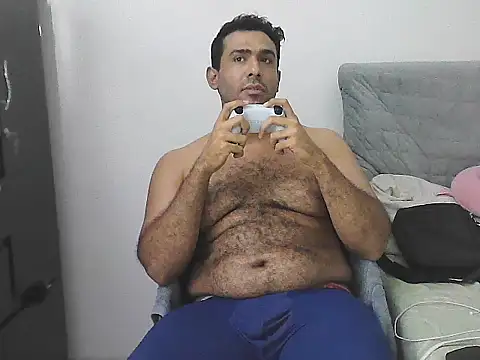 IronSideBear webcam