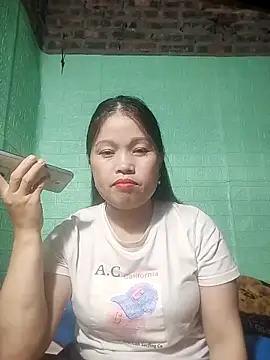 opna43 webcam