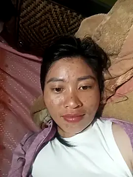 Hiniyk2 webcam
