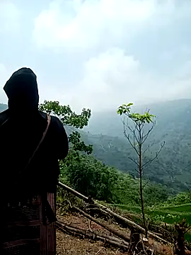 kalara_kail