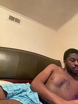 ThickDic28 webcam