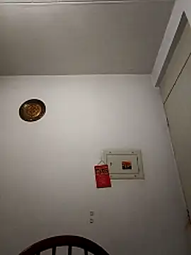 Swicth_love webcam