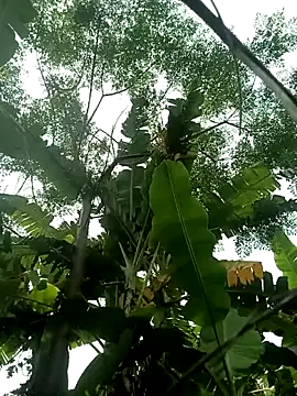 Mizu-hotshow webcam