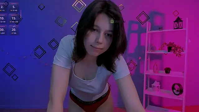 aria_wild_ webcam