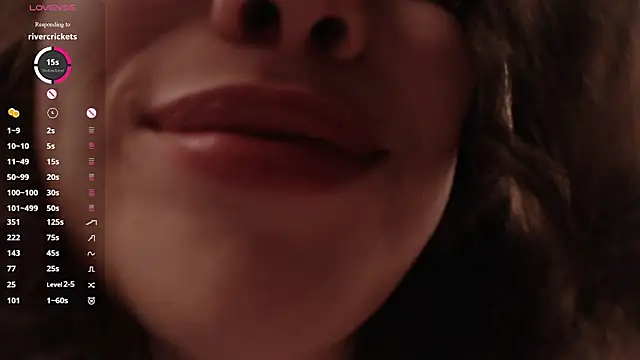SageFrommer webcam
