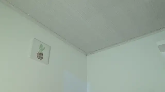eva_sin18 webcam