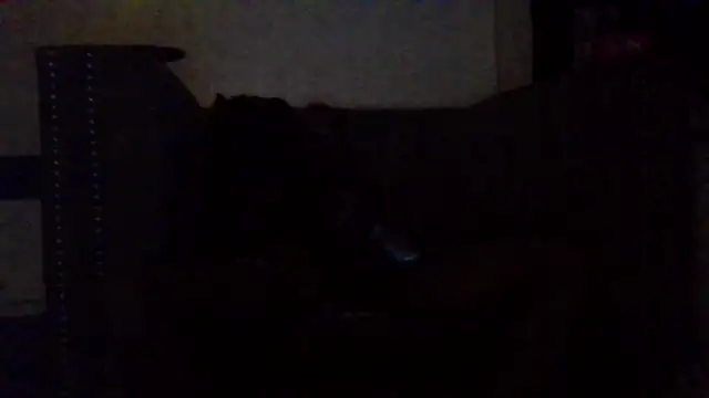 Daddy_hook webcam